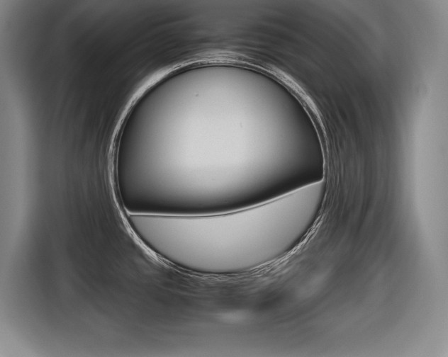X0000116421437200912081151