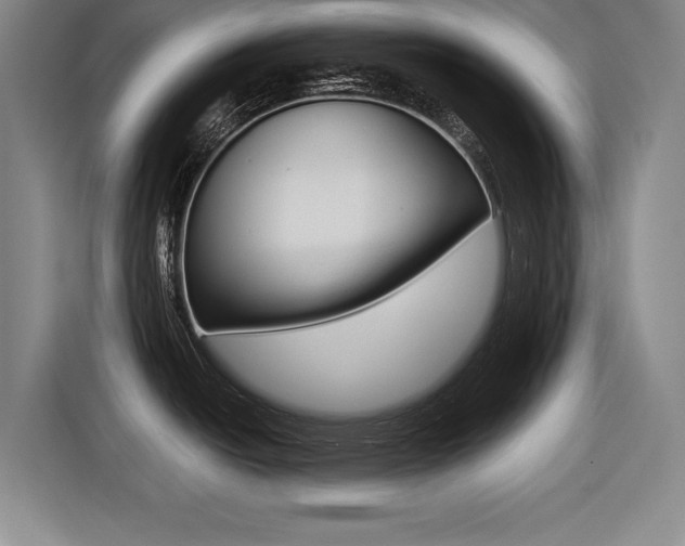 X0000116421438200912081151