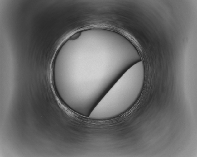 X0000116421439200912081151