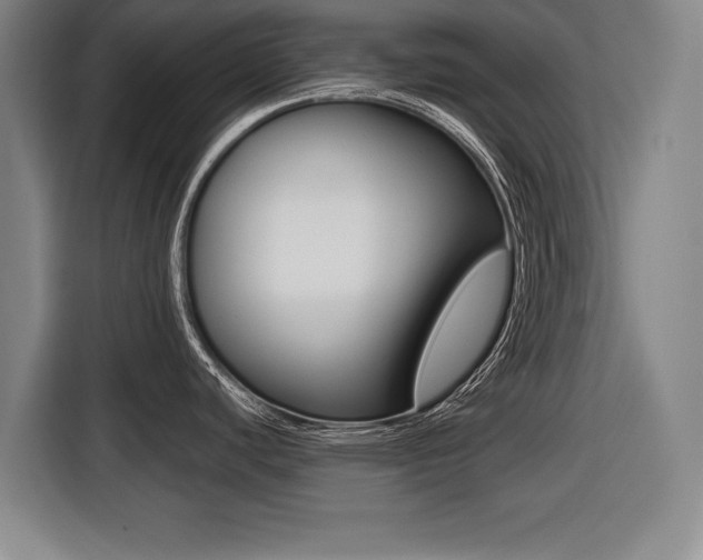 X0000116421440200912081151