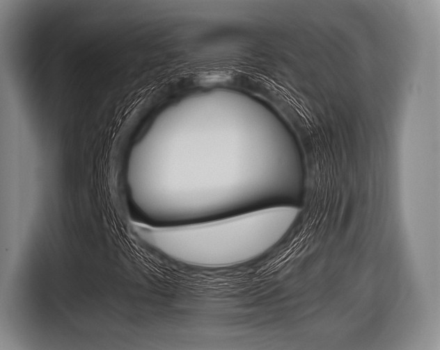 X0000116421441200912081150