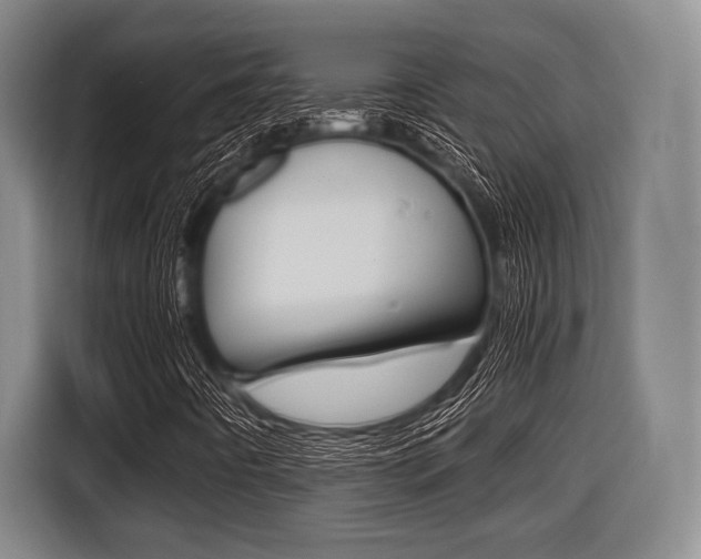X0000116421442200912081150