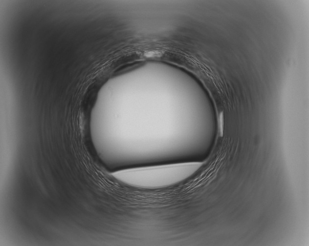 X0000116421443200912081150