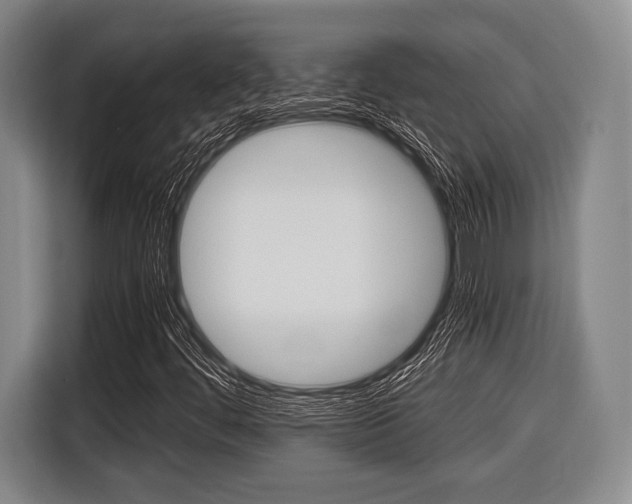 X0000116421444200912081150