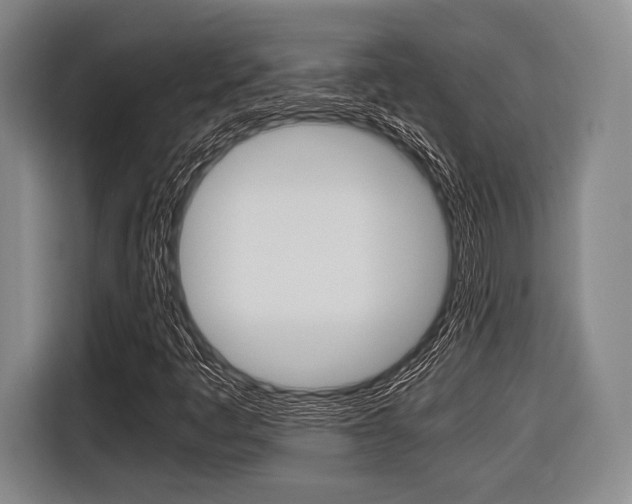 X0000116421445200912081150