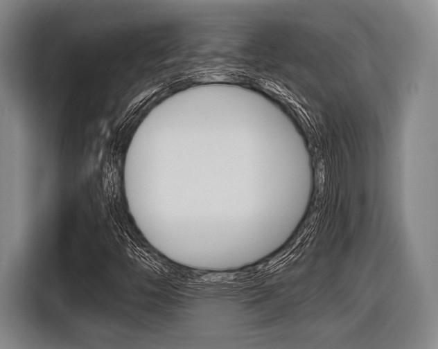 X0000116421446200912081150