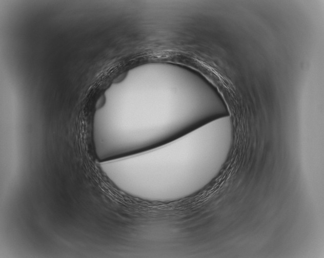 X0000116421447200912081150