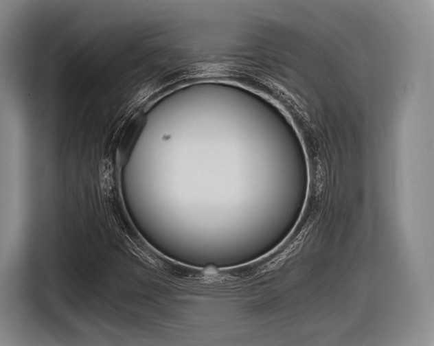 X0000116421449200912081150