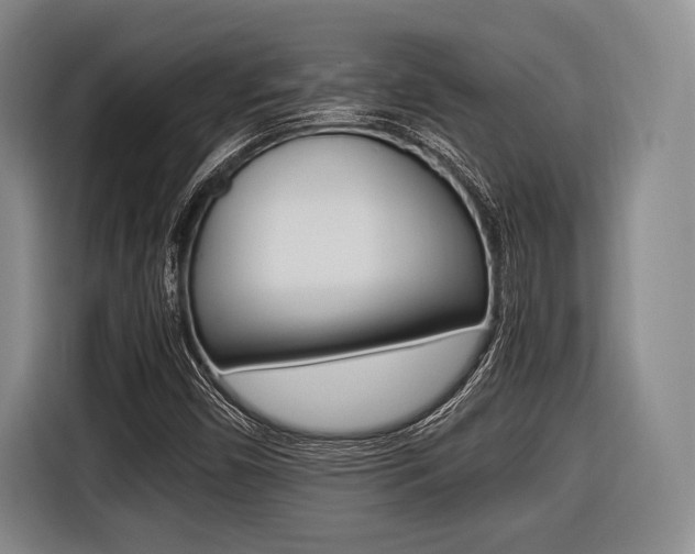 X0000116421450200912081150