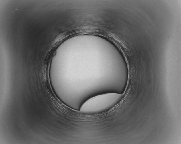 X0000116421451200912081150