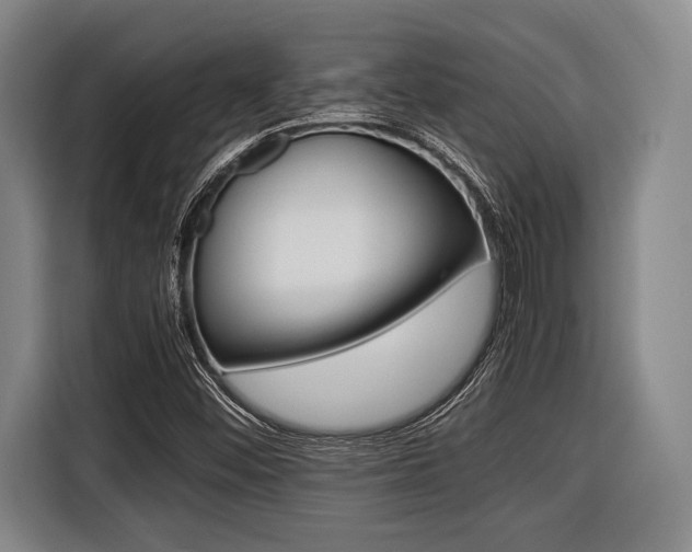 X0000116421452200912081150