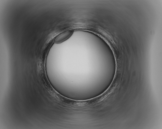 X0000116421453200912081150