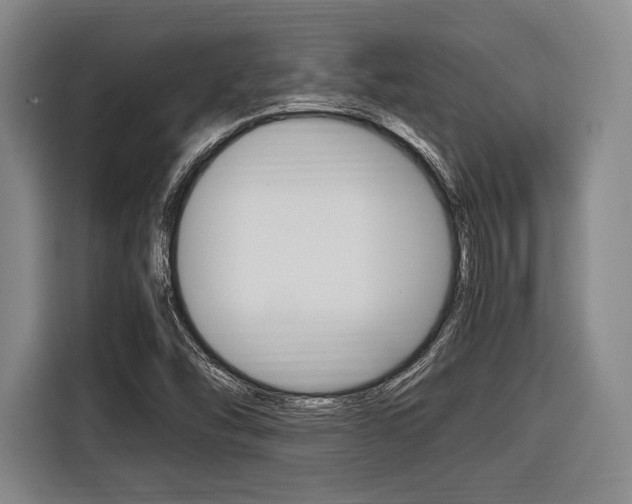 X0000116421454200912081150