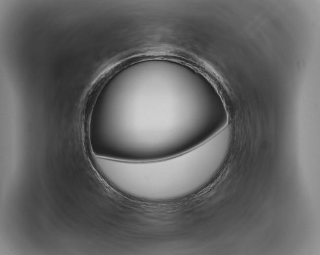 X0000116421456200912081150