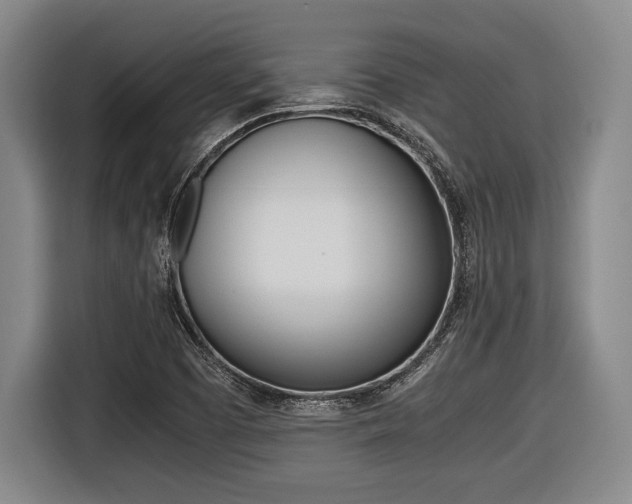 X0000116421457200912081150
