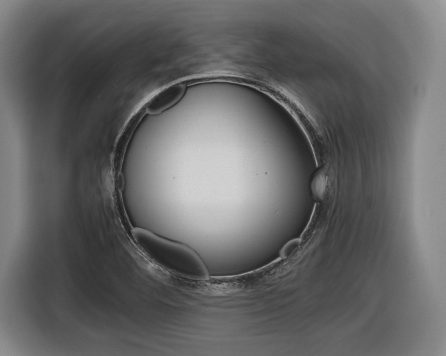 X0000116421460200912081150