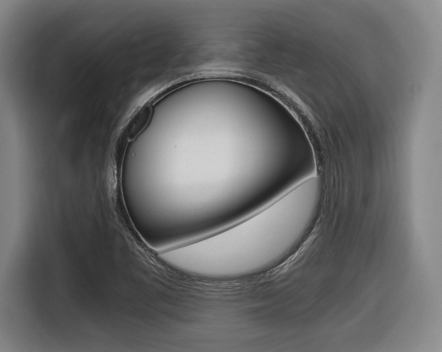 X0000116421461200912081150