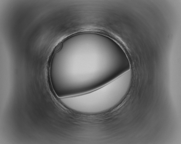 X0000116421463200912081150