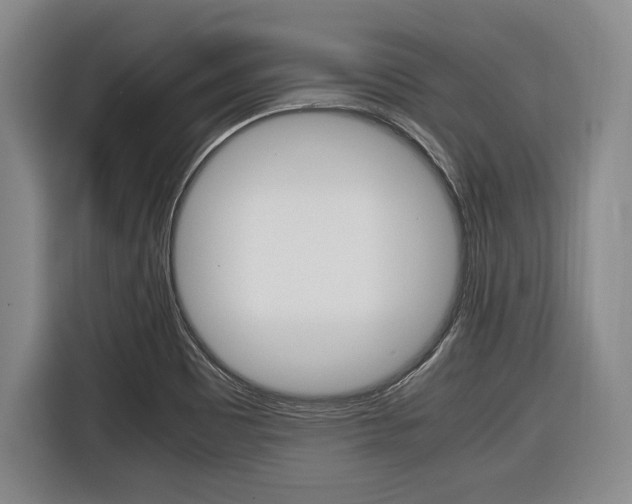 X0000116421465200912081150