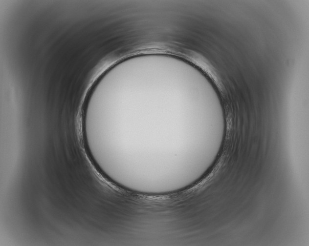 X0000116421466200912081150