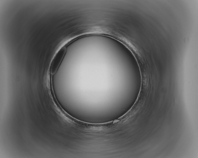 X0000116421468200912081150