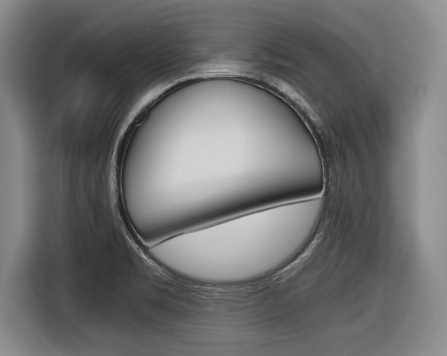 X0000116421469200912081150