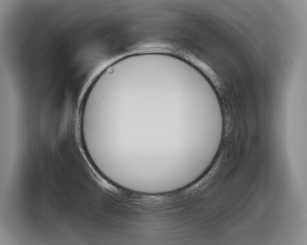 X0000116421470200912081150