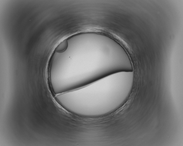 X0000116421471200912081150