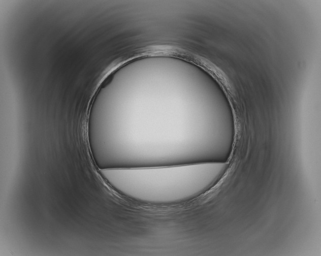 X0000116421473200912081150
