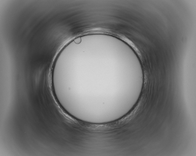 X0000116421474200912081150