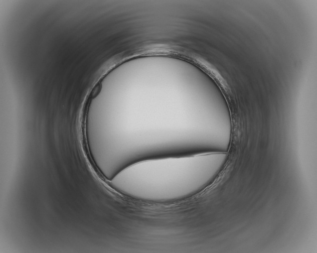X0000116421475200912081150