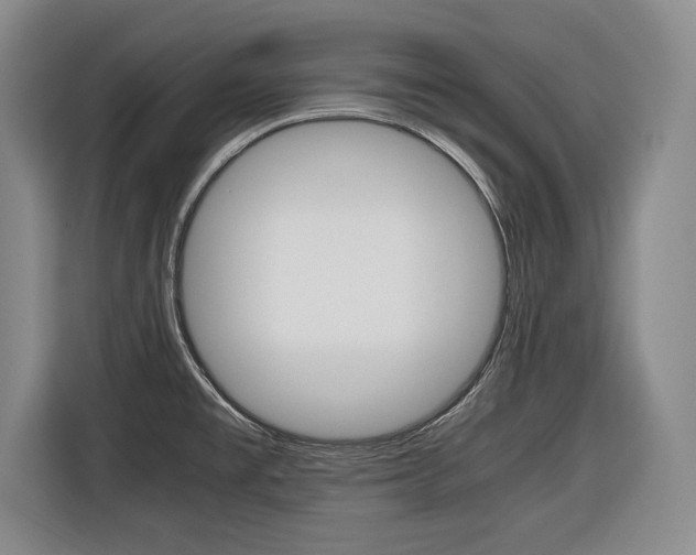 X0000116421477200912081150
