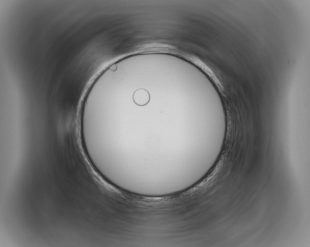 X0000116421478200912081150