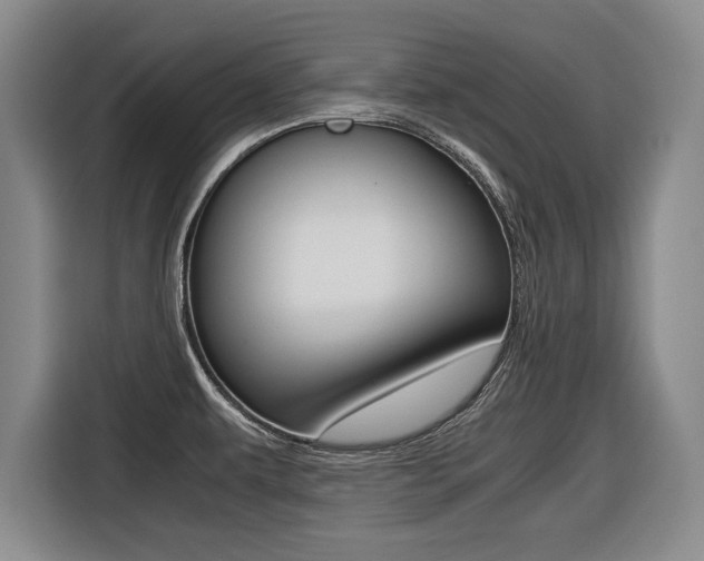 X0000116421479200912081150