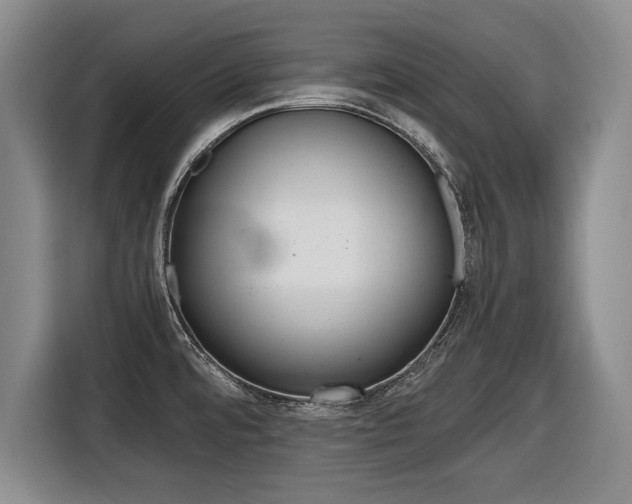 X0000116421480200912081150