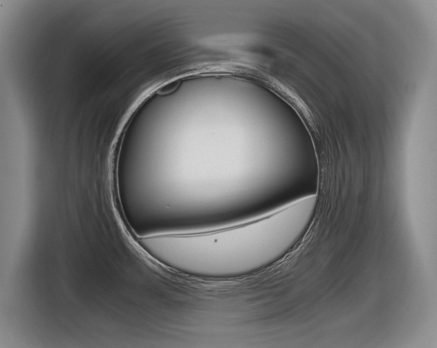 X0000116421483200912081150