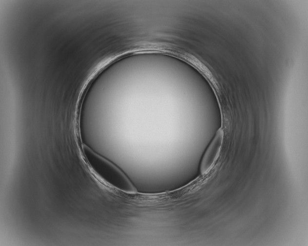 X0000116421485200912081150