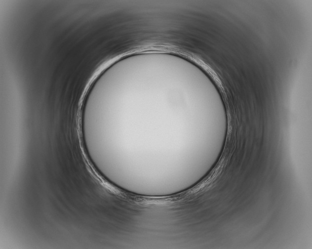 X0000116421486200912081150