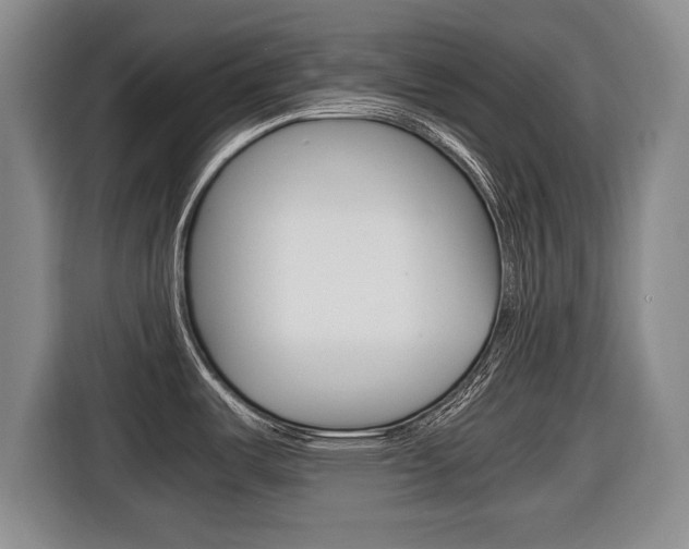 X0000116421487200912081149