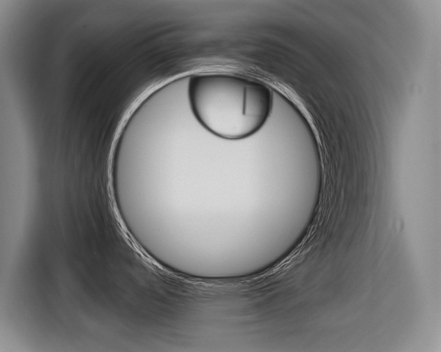 X0000116421488200912081149