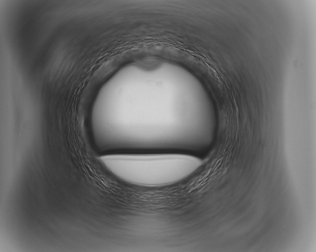 X0000116421489200912081149