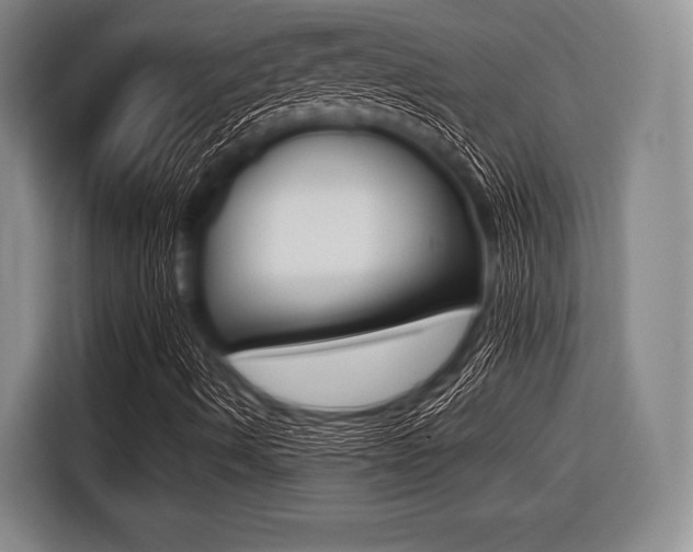 X0000116421490200912081149