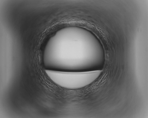 X0000116421493200912081149