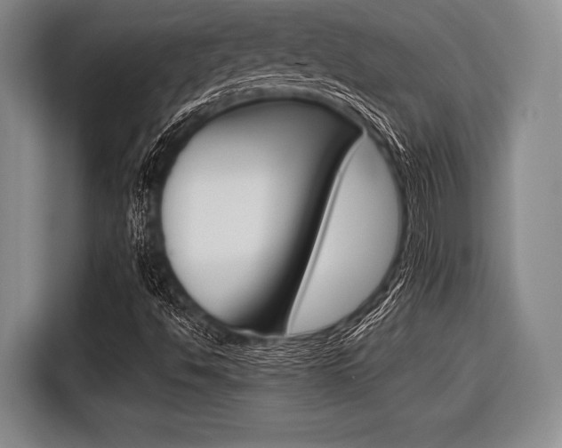 X0000116421494200912081149