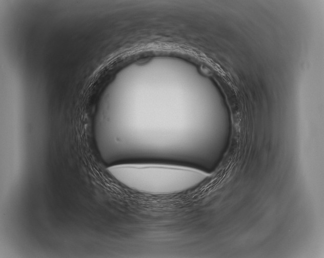 X0000116421495200912081149