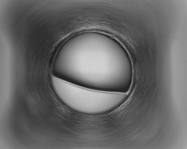 X0000116421497200912081149