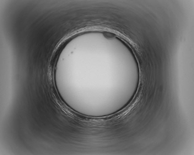 X0000116421498200912081149