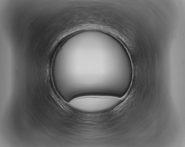 X0000116421499200912081149