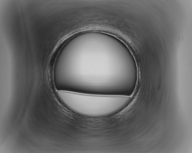 X0000116421501200912081149