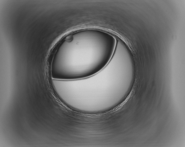 X0000116421502200912081149